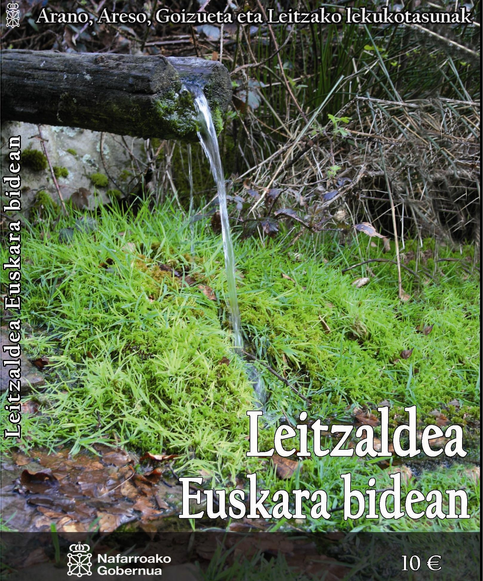 "Leitzaldea, Euskara Bidean" DVDa